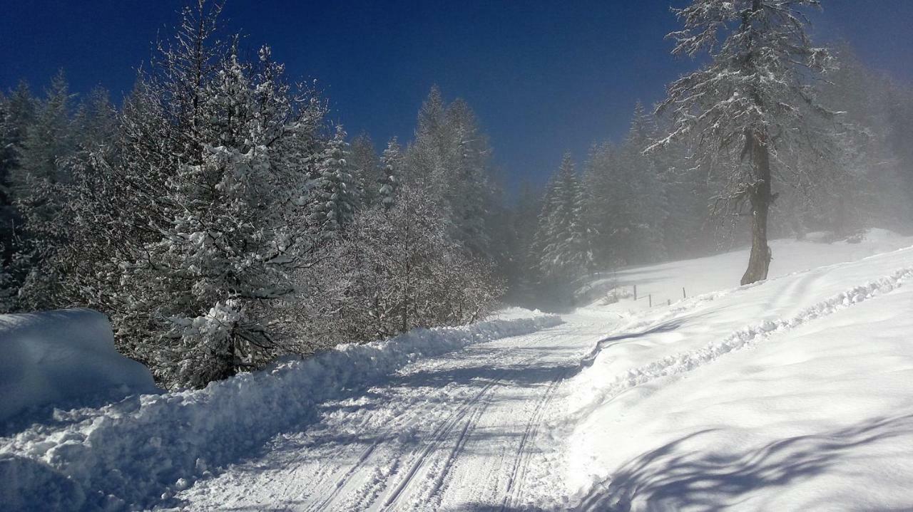 Ferienwohnung Dolomitenpanorama Oberlienz المظهر الخارجي الصورة