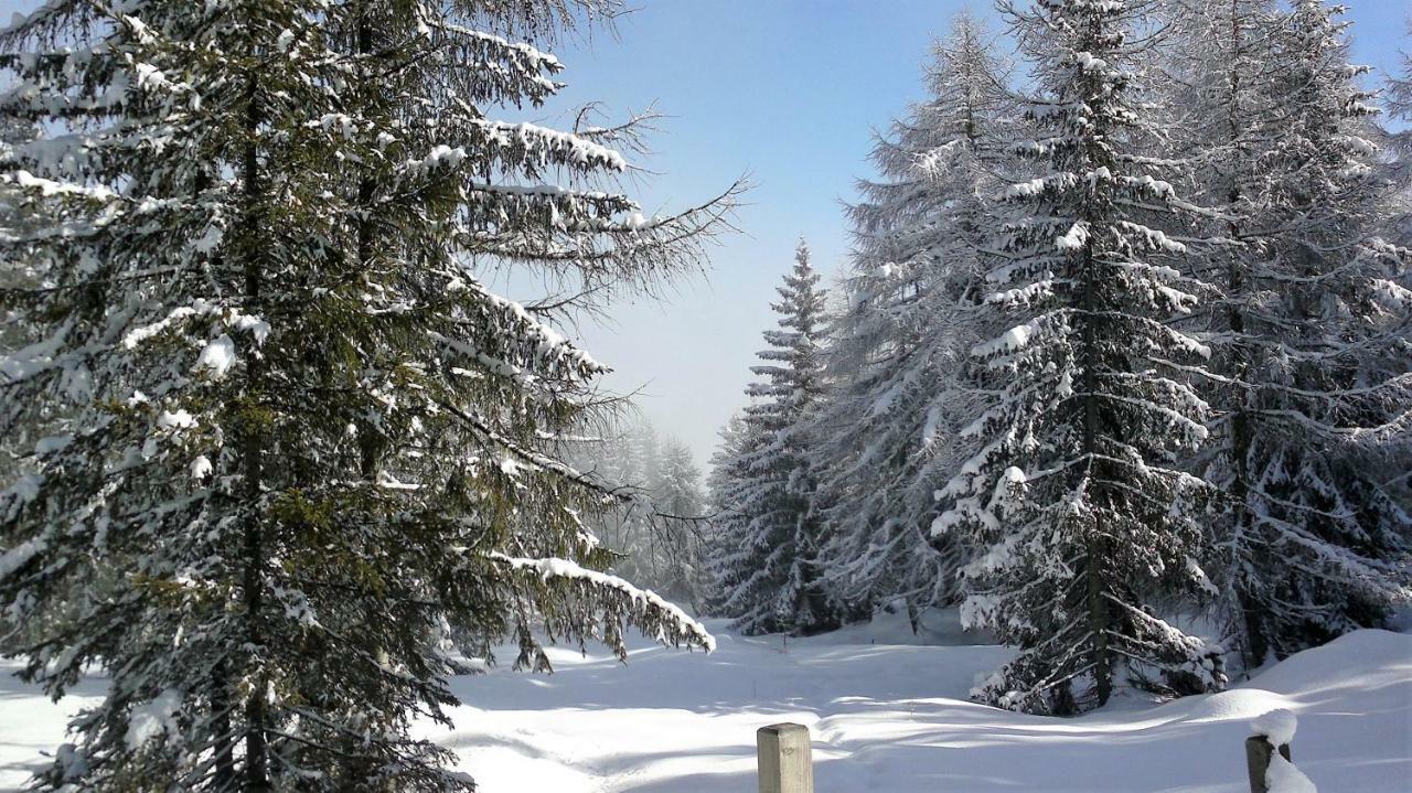 Ferienwohnung Dolomitenpanorama Oberlienz المظهر الخارجي الصورة
