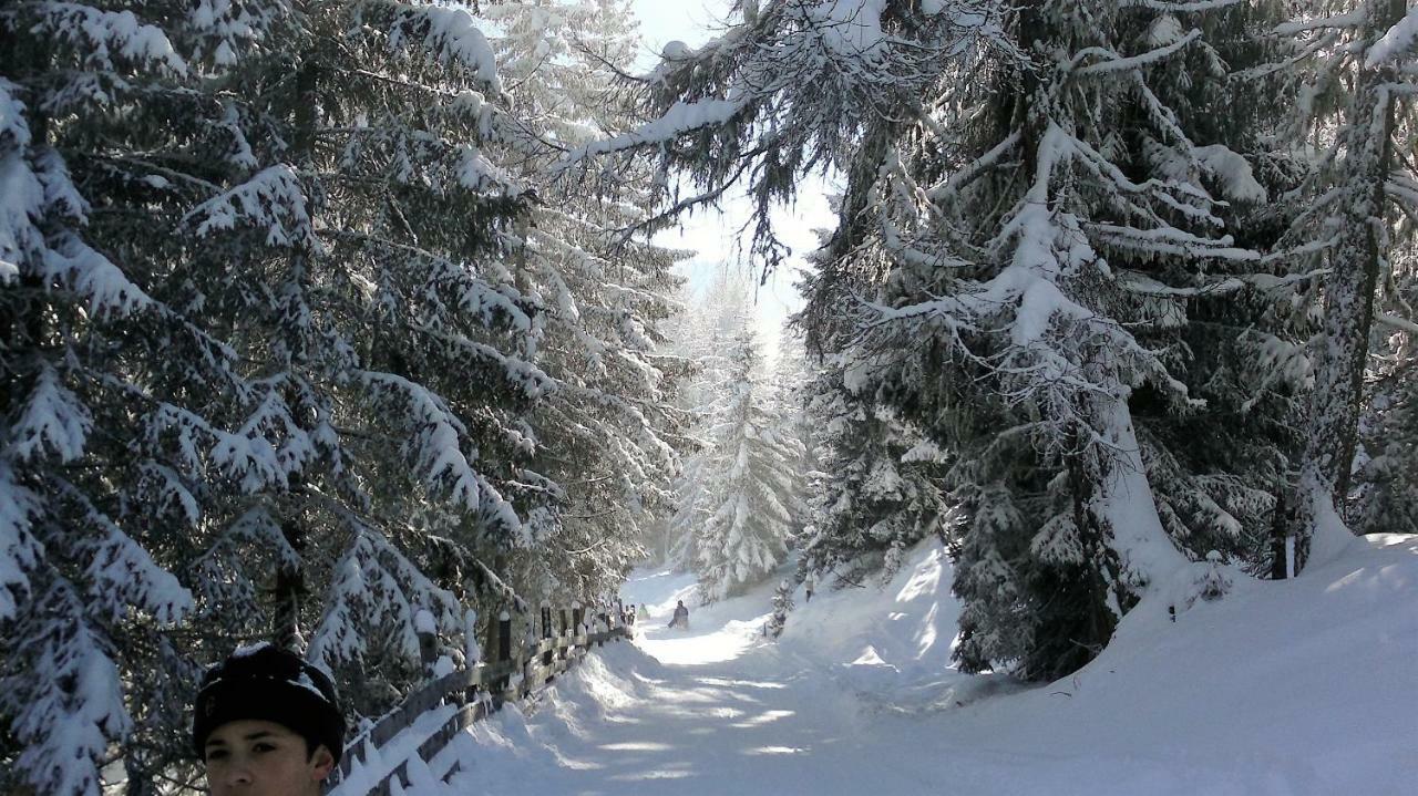 Ferienwohnung Dolomitenpanorama Oberlienz المظهر الخارجي الصورة